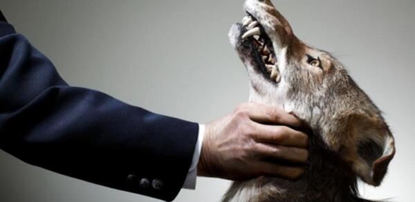 Diario HOY | VIDEO: a golpes golpeó a su perro con una azada, hasta matarlo