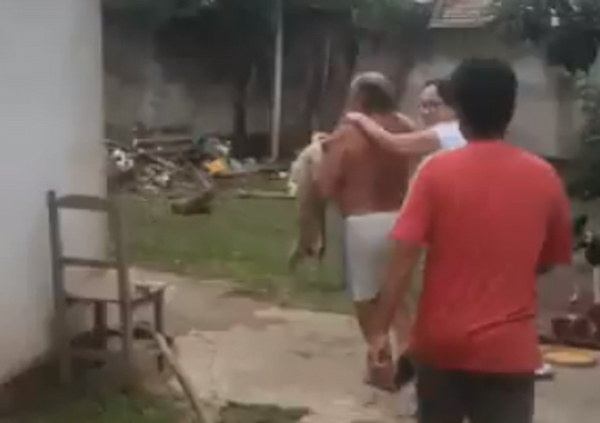 Con una azada golpeó a su perro hasta matarlo - Noticiero Paraguay