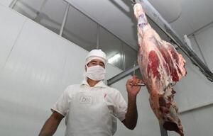 A fin de dar apertura de su mercado a la carne paraguaya, Canadá expresa predisposición