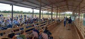 Jornada técnica demostró mucho interés por la producción ovina en el Chaco