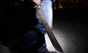 Imputaron a joven que agredió a su madre y mató a su gato - OviedoPress