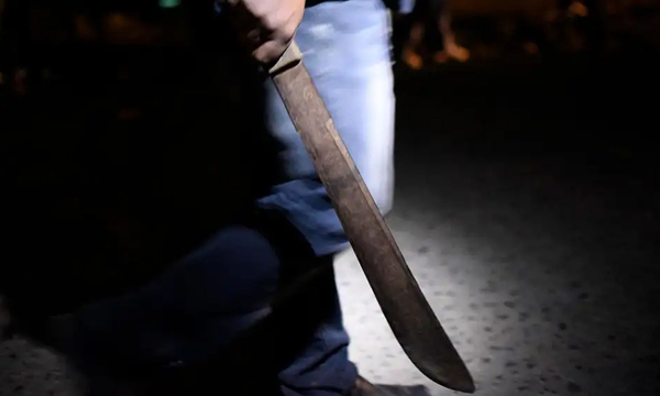 Imputaron a joven que agredió a su madre y mató a su gato - OviedoPress