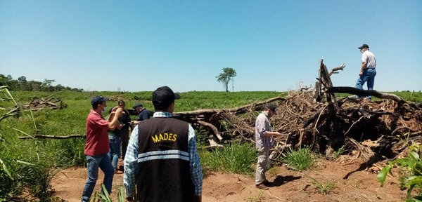 Caso Teixeira: Infona verificó apertura de caminos no contemplados en plan de manejo forestal - PDS RADIO