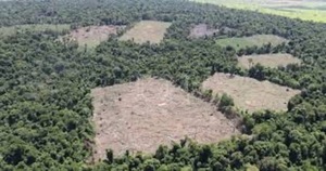 EXIGEN QUE SE PROTEJA EL BOSQUE ATLÁNTICO DEL ALTO PARANÁ - PDS RADIO