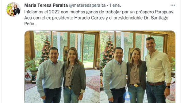 Directora electoral afín al cartismo pide permiso al TSJE