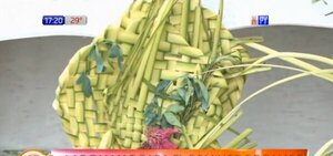 Tradicionales palmas para el Domingo de Ramos con escasez por incendios forestales | Noticias Paraguay