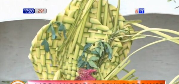 Tradicionales palmas para el Domingo de Ramos con escasez por incendios forestales | Noticias Paraguay