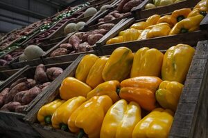 Argentina aumenta los subsidios alimentarios ante la elevada inflación - MarketData