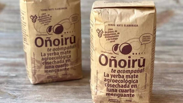 Oñoirũ enviará segundo lote de yerba mate orgánica a EE.UU. en la quincena (llegarán a producir 300.000 kg)