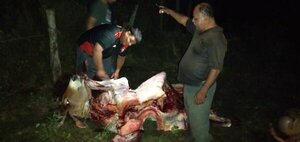Abigeos faenan dos vacunos, pero no pudieron llevar la carne