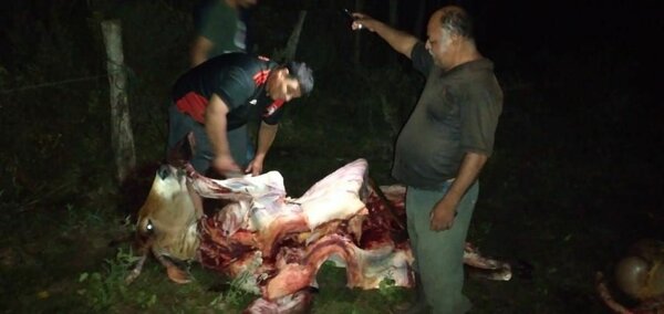 Abigeos faenan dos vacunos, pero no pudieron llevar la carne