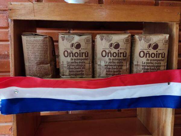 Yerba mate orgánica paraguaya será exportada a los Estados Unidos