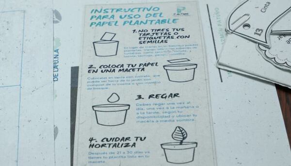 Ganadora del Proyecto REEMUJERPY presentó innovadores productos obtenidos a través del reciclado de papel