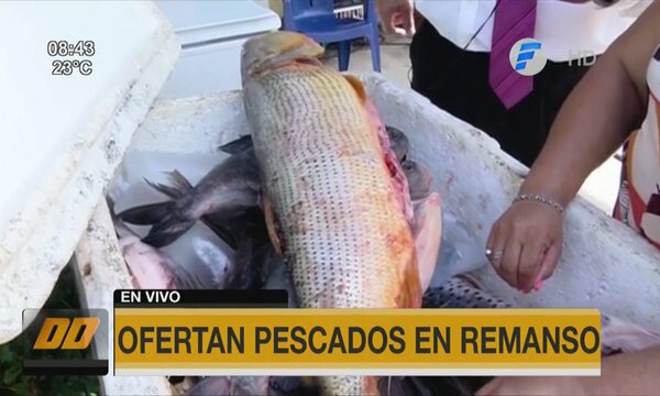 Ofertan pescados para Semana Santa en Remanso | Telefuturo