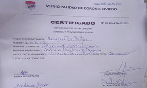 Alertan sobre falsos fumigadores de la municipalidad de Coronel Oviedo - OviedoPress
