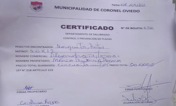 Alertan sobre falsos fumigadores de la municipalidad de Coronel Oviedo - OviedoPress