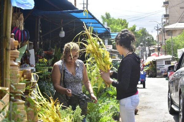 La tradición del pindó: fieles se preparan para el Domingo de Ramos - Nacionales - ABC Color