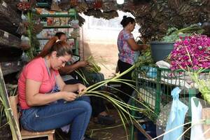 Crónica / Domingo de Ramos: vuelve con todo después de dos años con restricciones por pandemia
