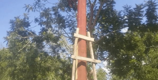 ¡Trágico! Hombre muere electrocutado en Concepción | Noticias Paraguay