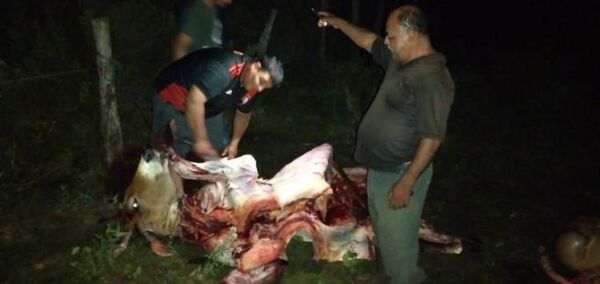 Abigeos faenan dos vacunos, pero no pudieron llevar la carne