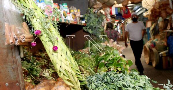 La Nación / Domingo de Ramos: vendedoras destacan buena venta de pindo karai en el Mercado de Abasto