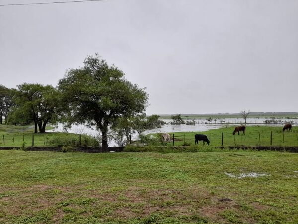 Campos se llenan de agua después de meses de sequía - Nacionales - ABC Color