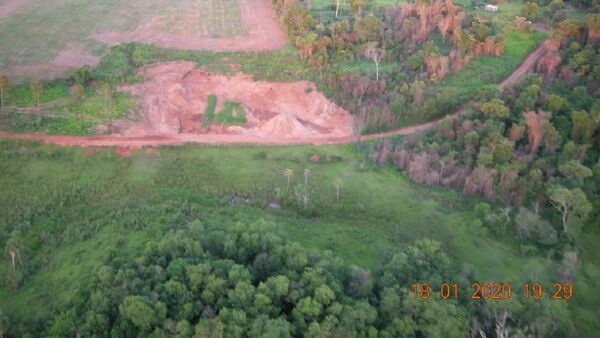 Organizaciones ambientales denuncian deforestación del bosque San Rafael e inacción de autoridades