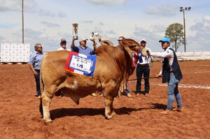 La Verónica S.A. se coronó con los Grandes Campeones Brahman