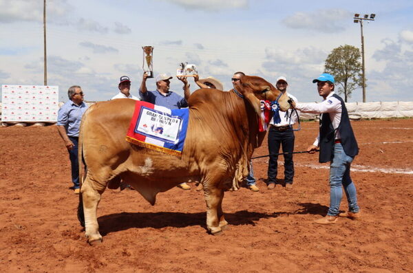 La Verónica S.A. se coronó con los Grandes Campeones Brahman