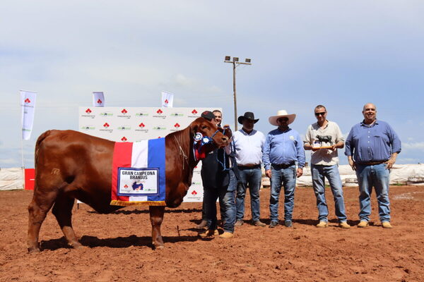 Gran Campeona Brangus de La Verónica S.A.