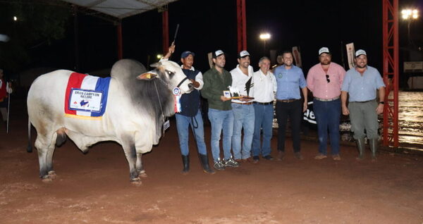 Grandes Campeones Nelore para José Salomón Pérez y Goya S.A.