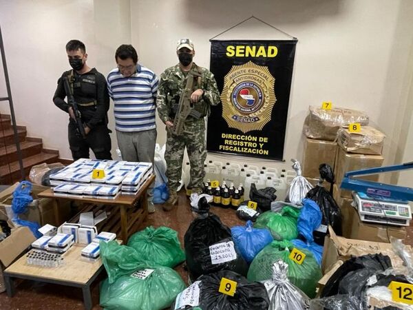 SENAD sacó de circulación más de 14 toneladas de marihuana en Yby Yaú