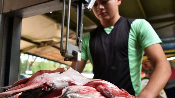 Ofertan pescados por Semana Santa