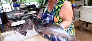 Semana Santa: Vendedoras de pescado en zona de remanso ponen sus productos en oferta | Noticias Paraguay
