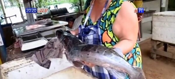 Semana Santa: Vendedoras de pescado en zona de remanso ponen sus productos en oferta | Noticias Paraguay