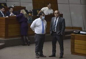 Cartistas y llanistas quedan por integrar - Nacionales - ABC Color