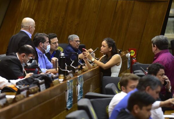 Diputados quisieron forzar tratamiento del subsidio que incluye a privados - Nacionales - ABC Color