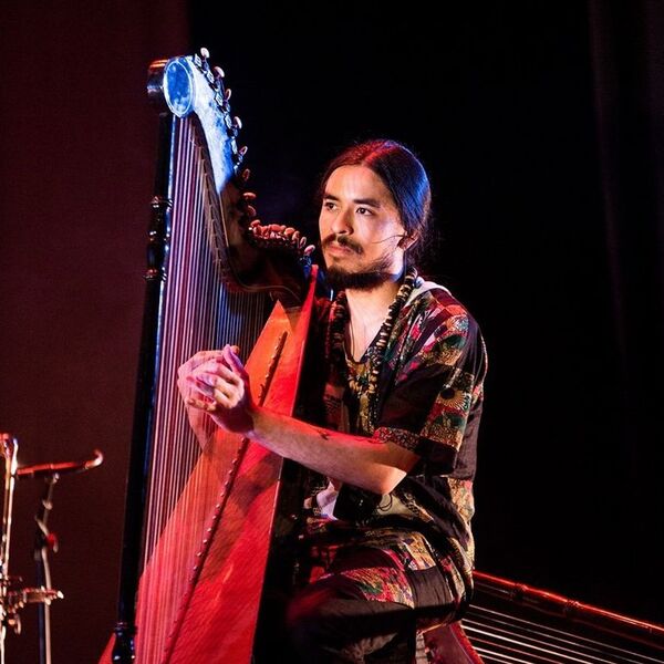 Hoy continúa el Festival del Arpa - Música - ABC Color