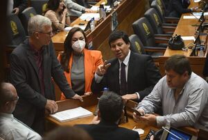 Cartistas piden salvar al gobernador de Guairá y mantener a Alliana en Diputados a cambio de apoyar subsidio a combustibles - Nacionales - ABC Color