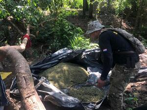 Senad generó un golpe de 435.000 dólares al narcotráfico eliminando 14,5 toneladas de marihuana - .::Agencia IP::.