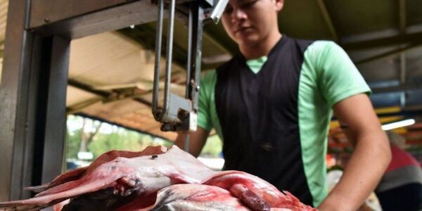 Ofertan pescados por Semana Santa - Radio Imperio