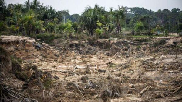 Deforestación en Amazonía brasileña baja en marzo, pero registra récord trimestral