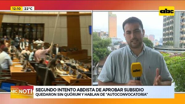 Segundo intento Abdista de aprobar subsidio - ABC Noticias - ABC Color