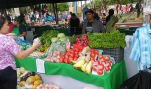 250 familias Concepción generaron buena recaudación en feria de la agricultura