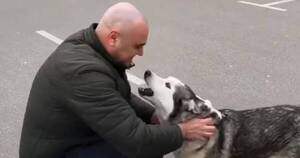La Nación / Una perrita ucraniana y su dueño protagonizaron un emotivo reencuentro