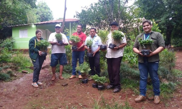 Entregan plantines de árboles en Tavapy