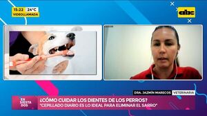 ¿Cómo cuidar los dientes de los perros? - Ensiestados - ABC Color