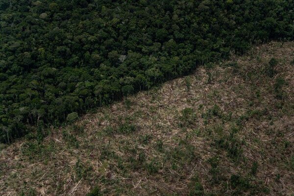 Amazonía brasileña registró récord en deforestación en el primer trimestre de 2022 - Megacadena — Últimas Noticias de Paraguay