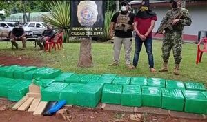 Incautan 536 kilos de marihuana y detienena un “mula” en lujosa camioneta en Yguazú – Diario TNPRESS