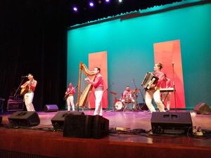 Festival marca el reencuentro con los diversos sonidos del arpa paraguaya - Música - ABC Color